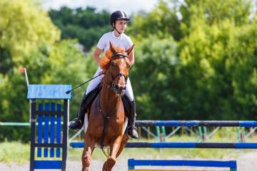 Cours d'équitation particuliers et collectifs à Fabrègues